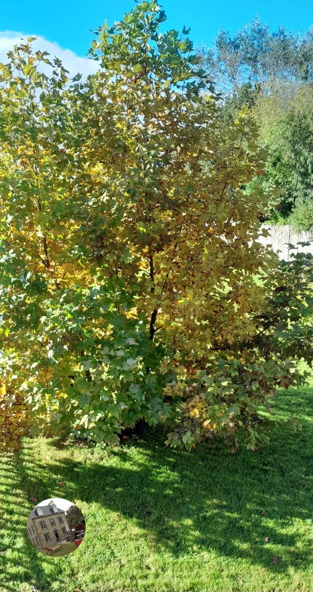 foto33