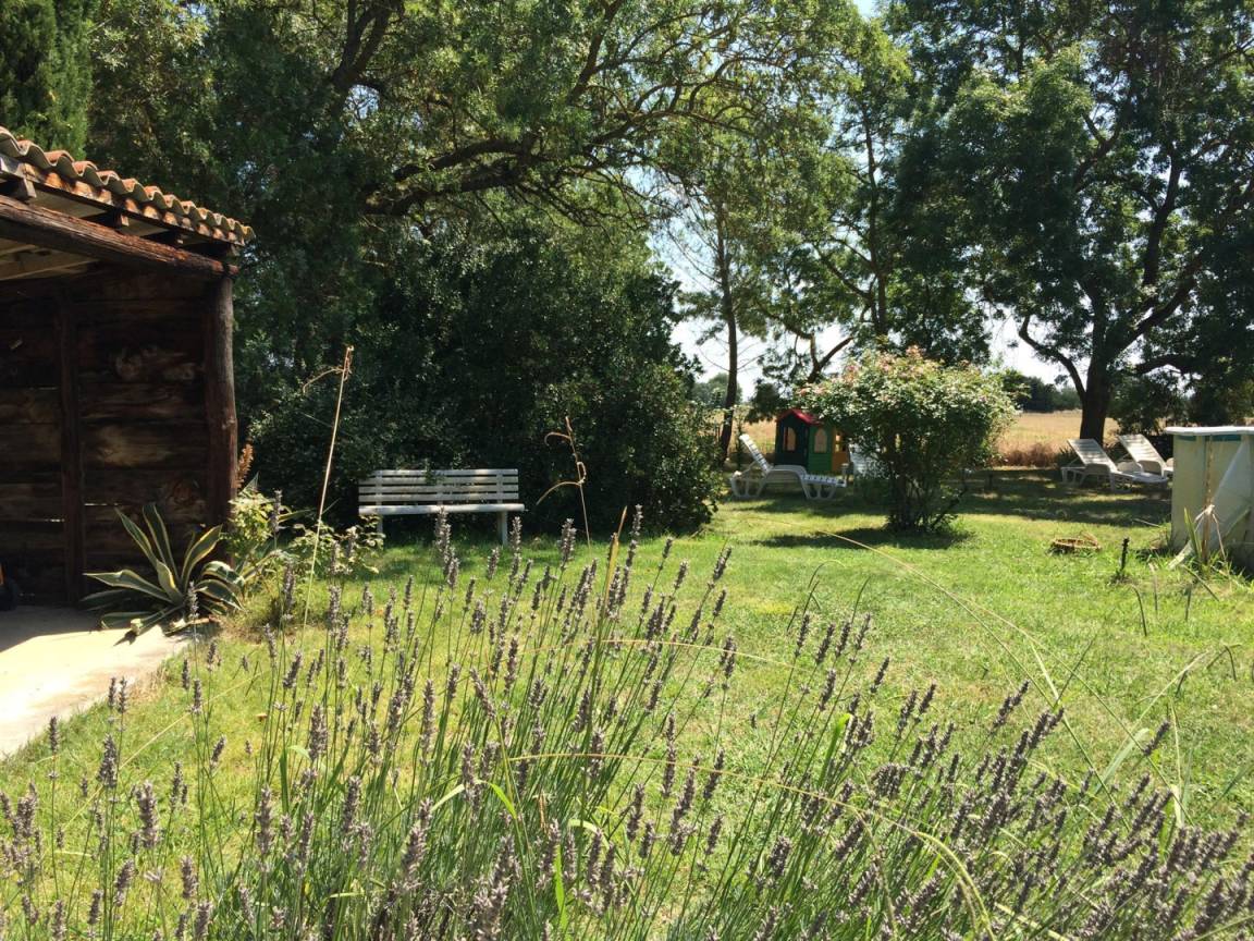 foto15