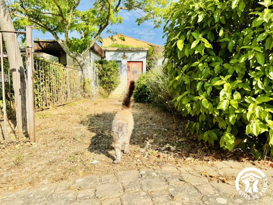 foto31