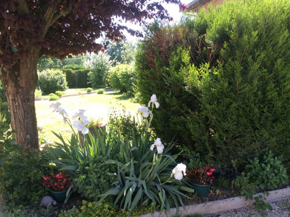 foto4