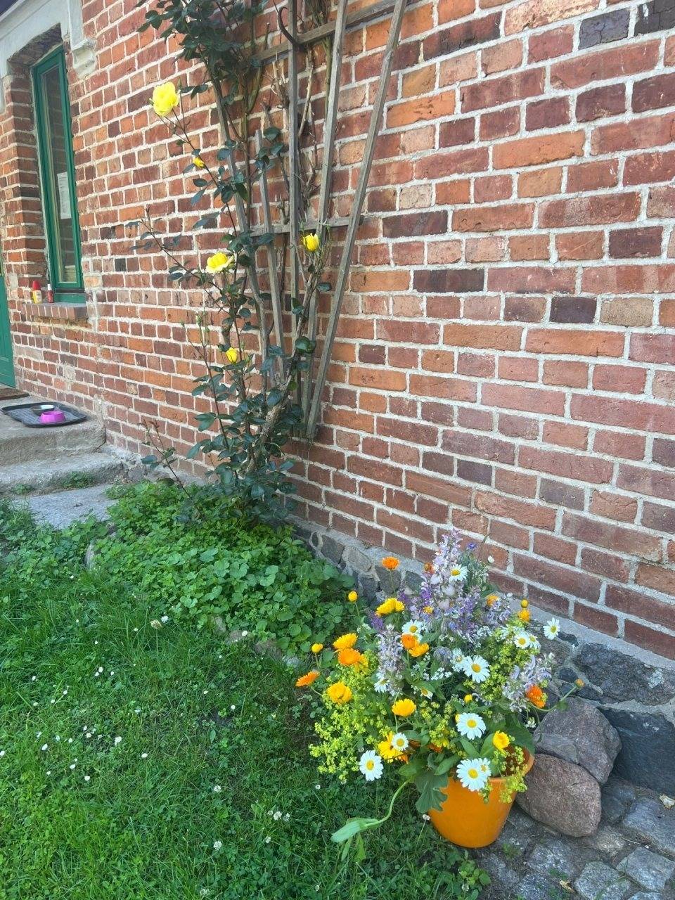 foto19