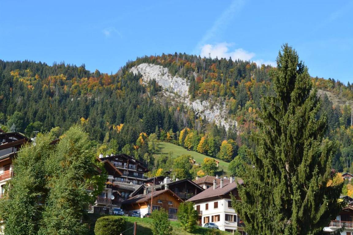 foto2