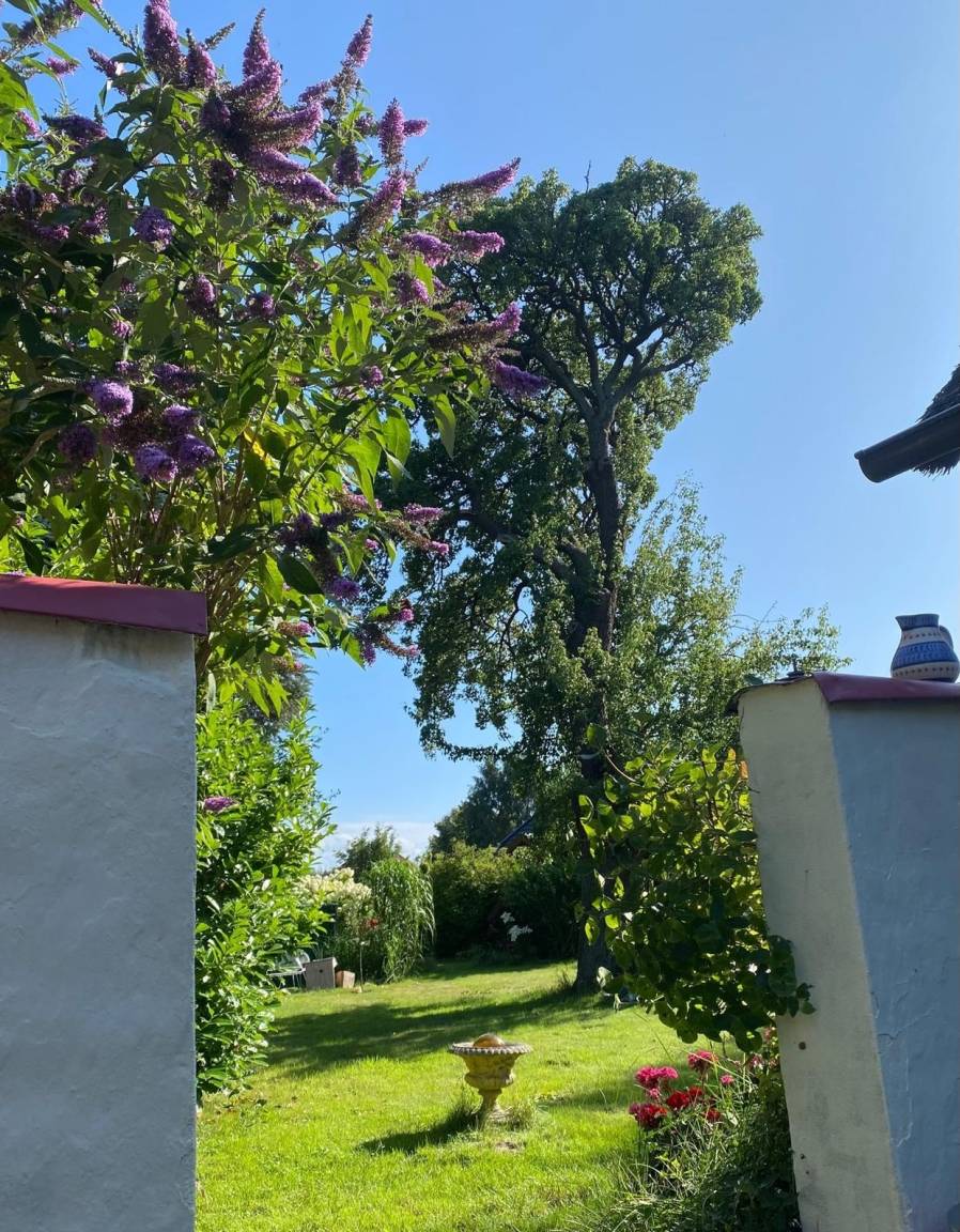 foto27
