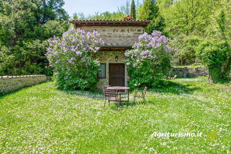 50 M² Casa Rural ∙ 1 Habitación ∙ 4 Huéspedes - Toscana