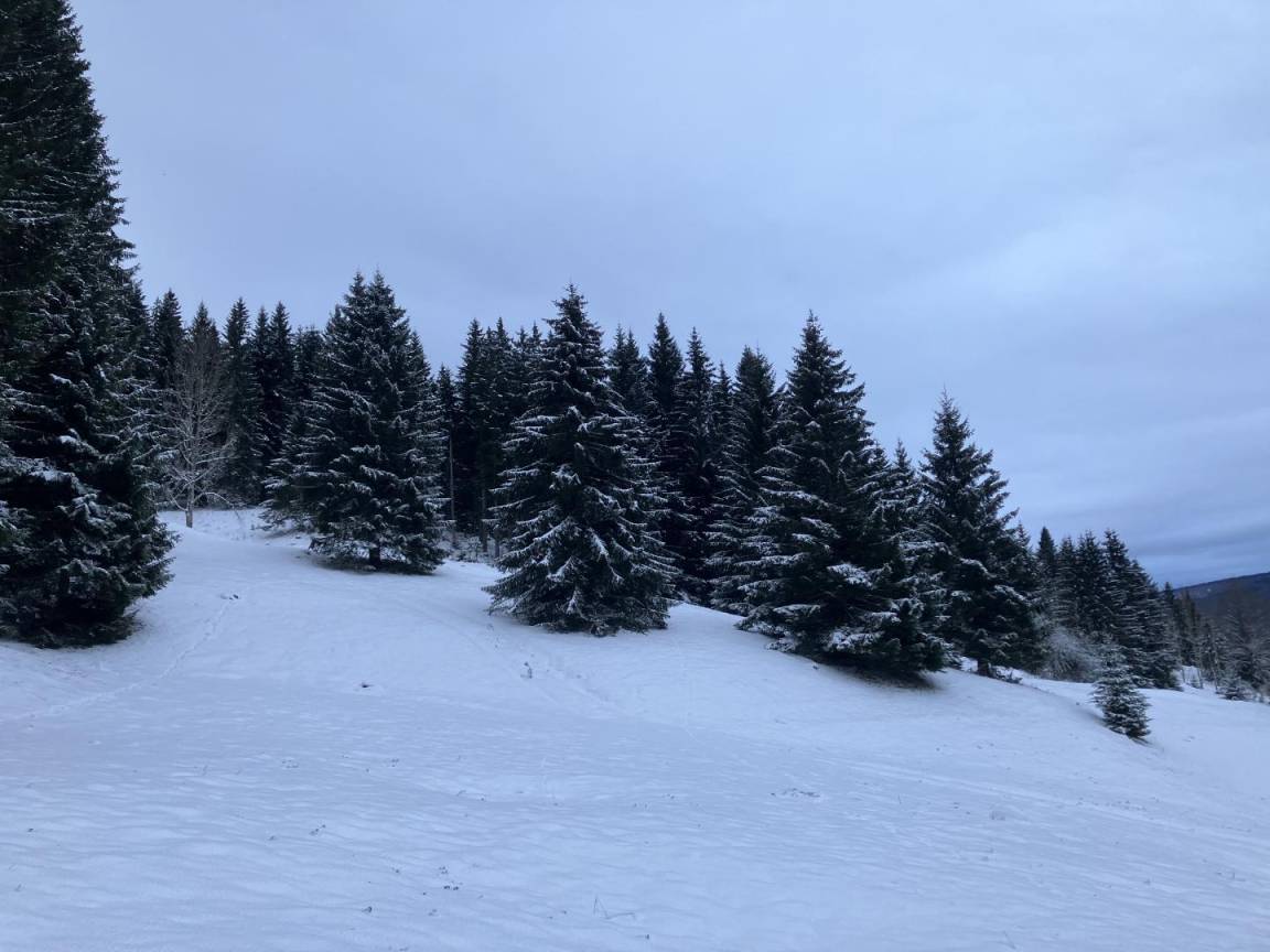 foto28