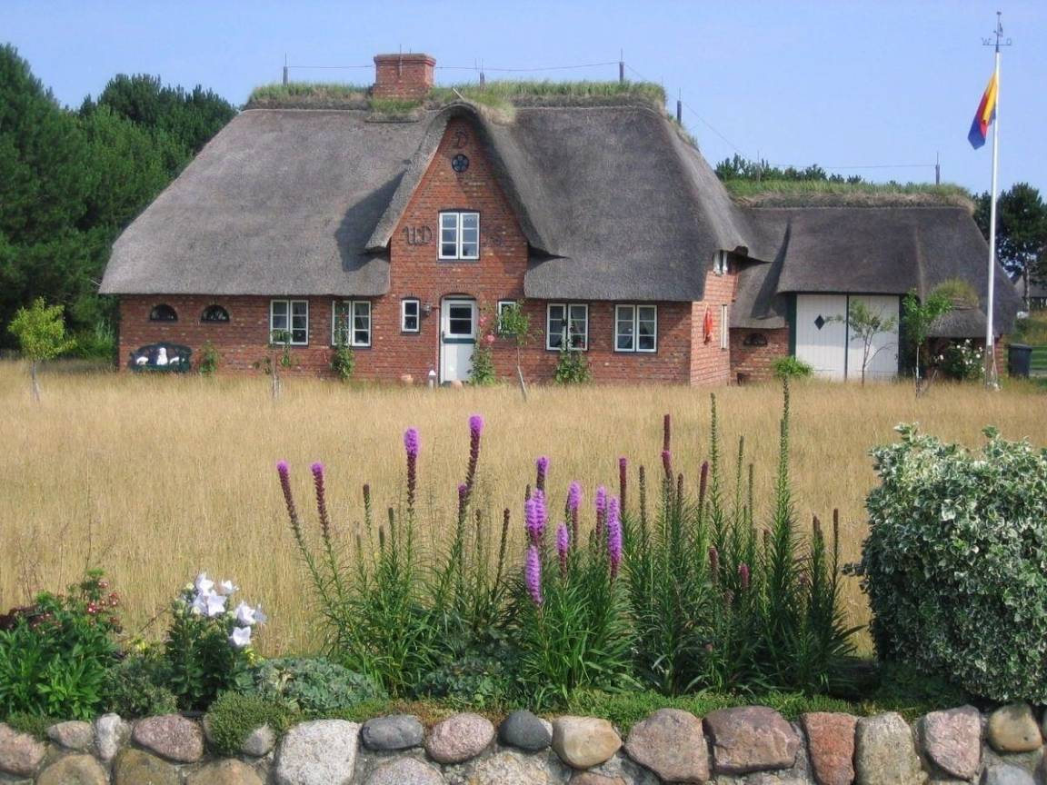 foto16
