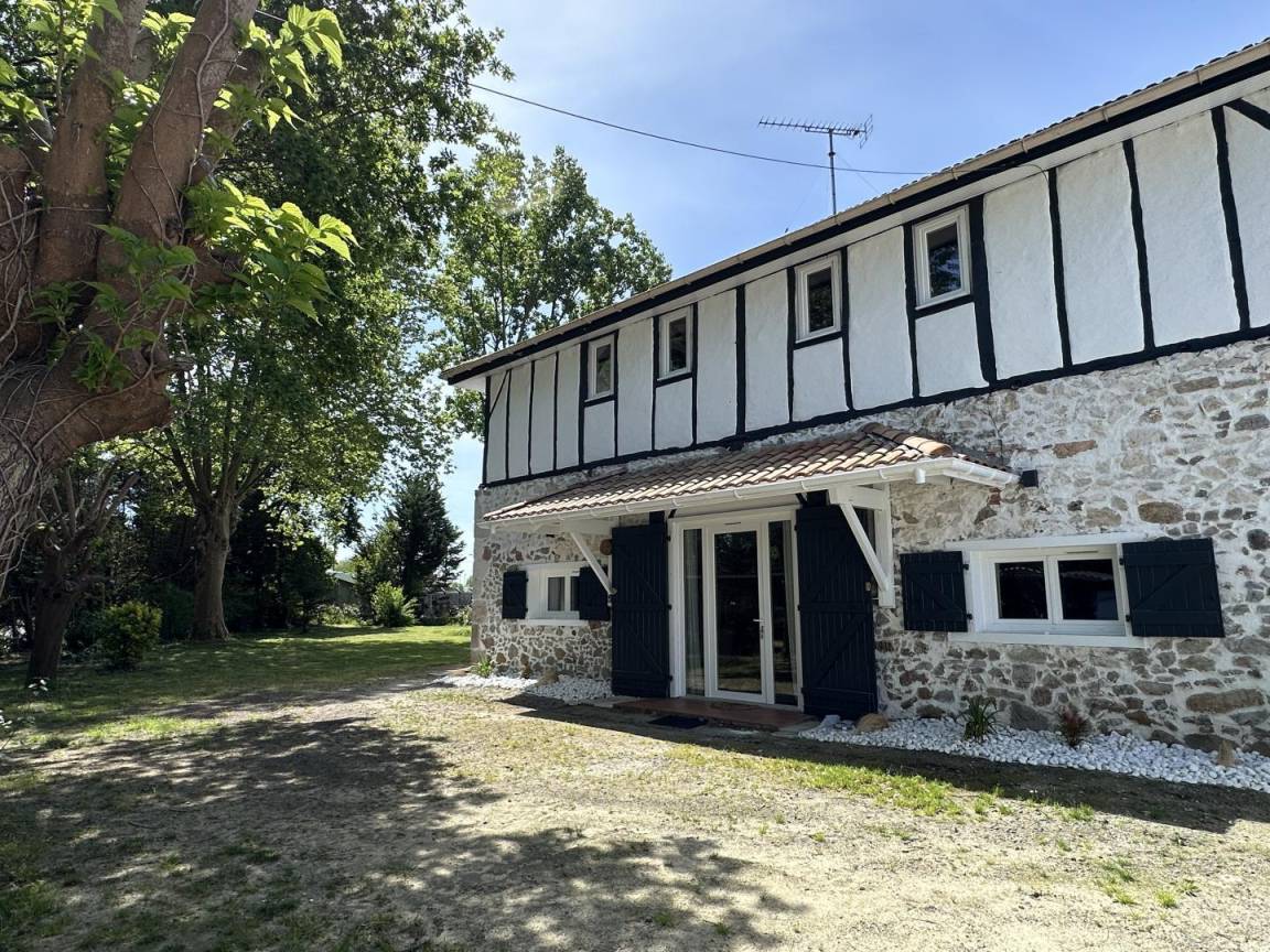 foto1