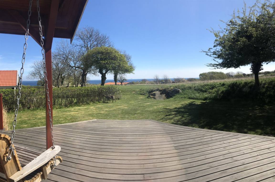 foto15