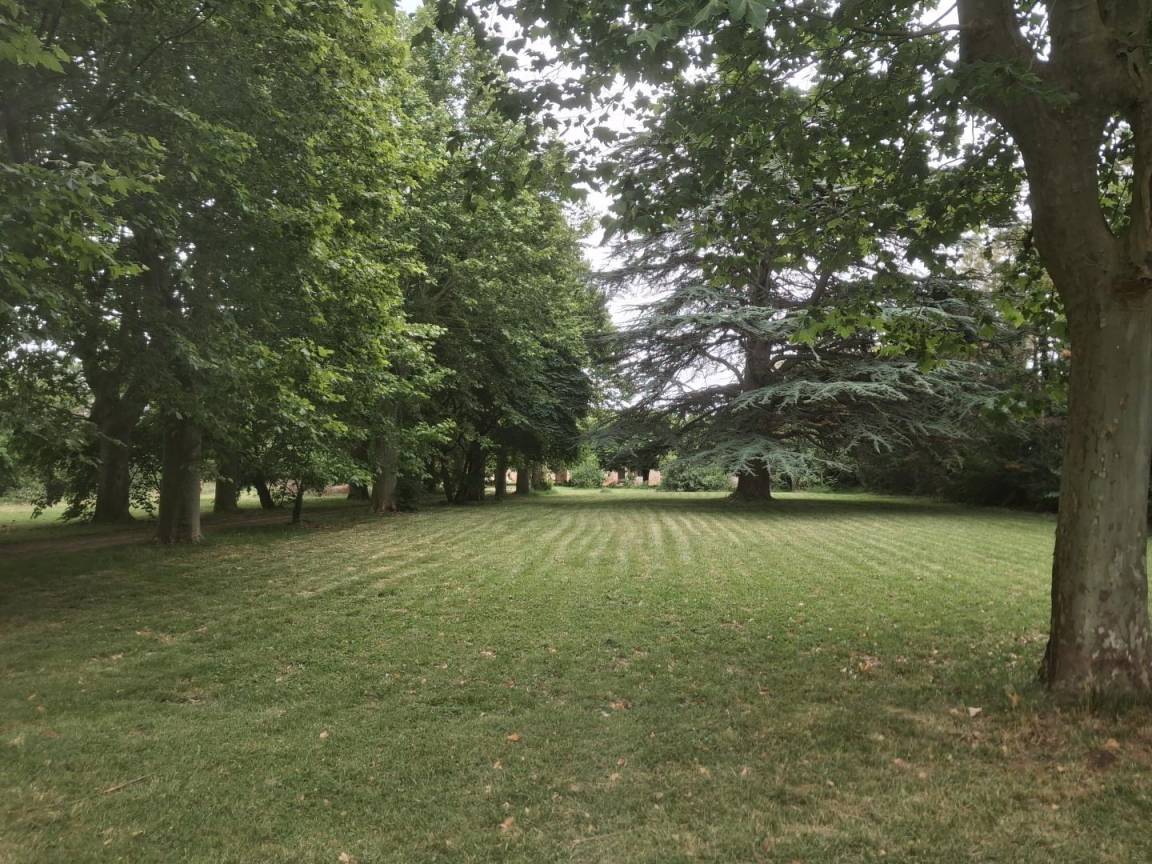 foto1