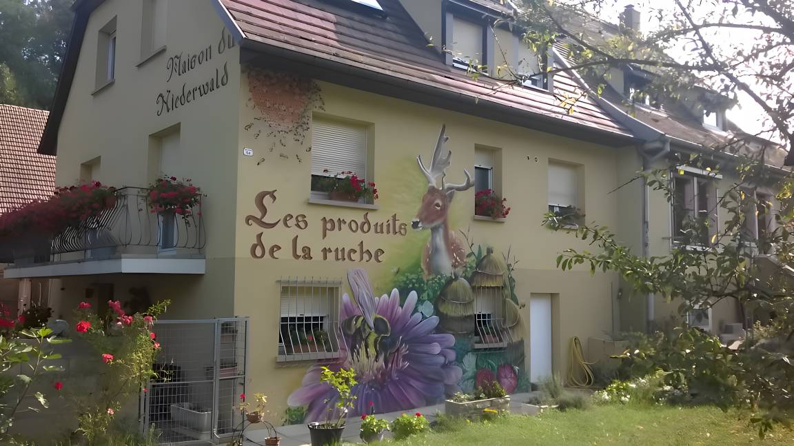 14 M² Chambre D'hôtes ∙ 1 Chambre ∙ 3 Personnes - Kintzheim