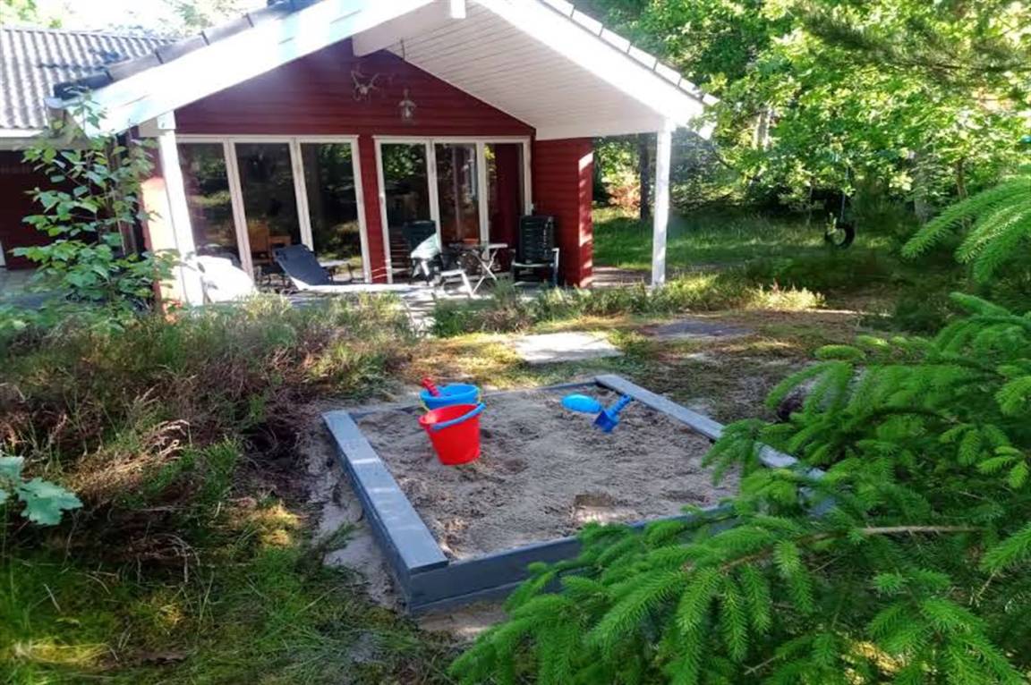 foto19