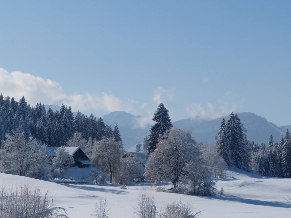 foto4