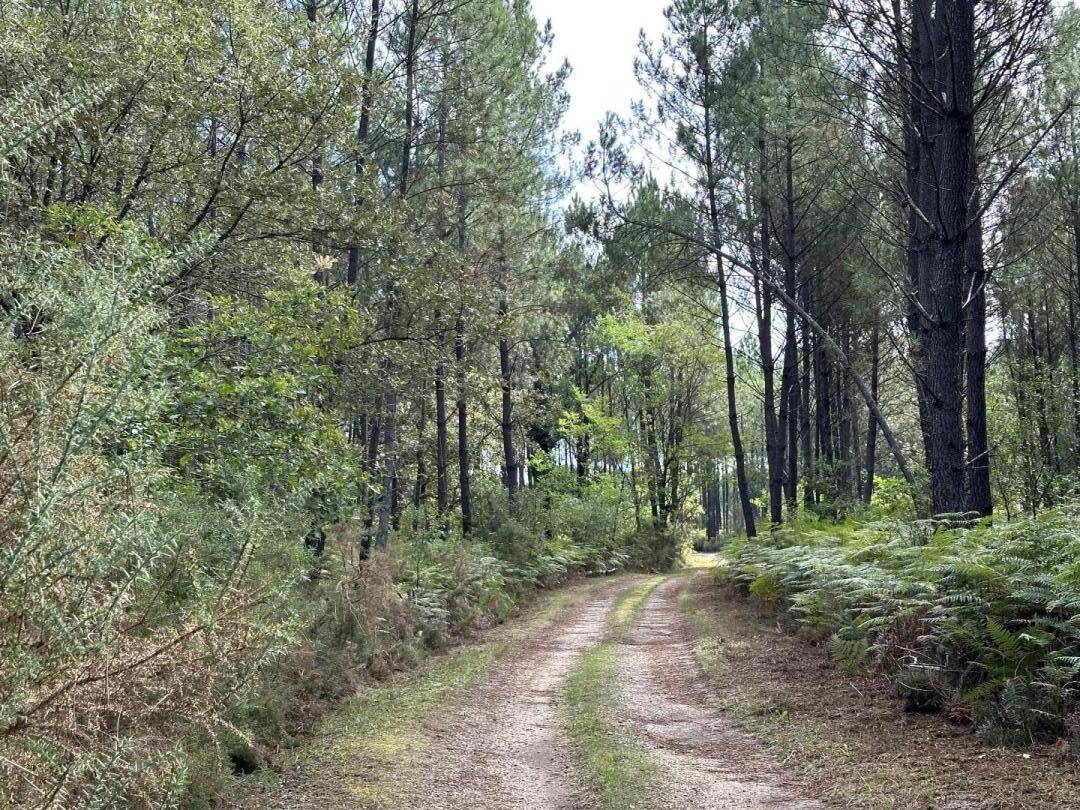 foto18