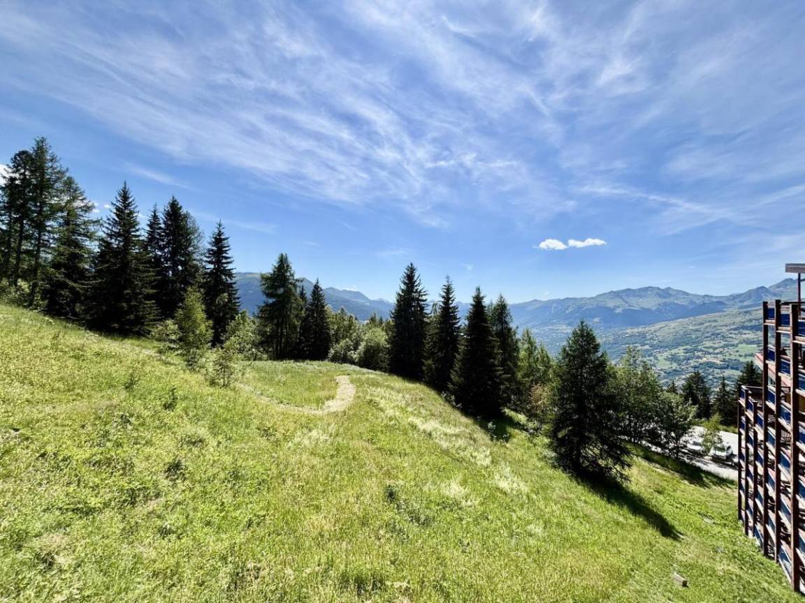 foto21