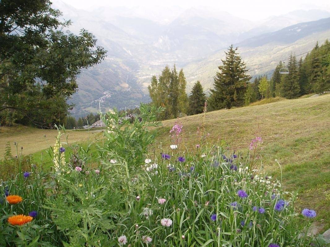 foto21