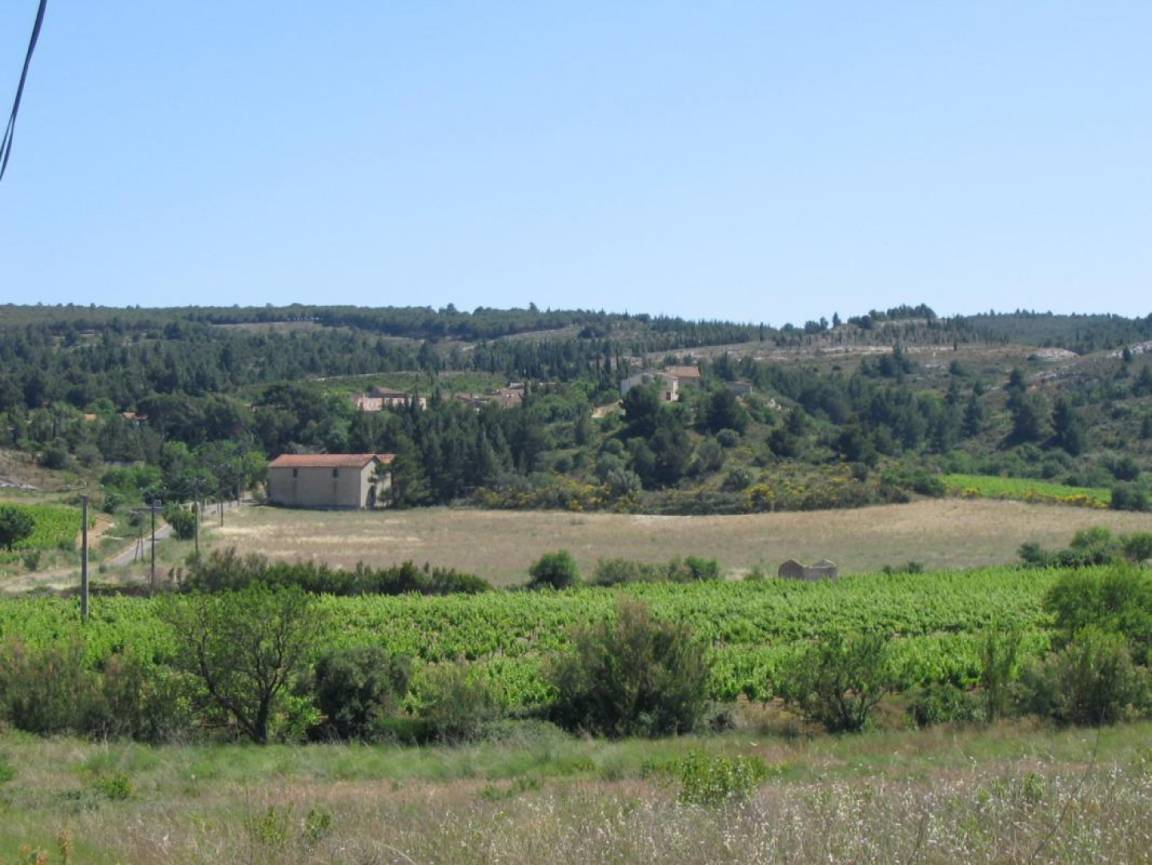 foto14