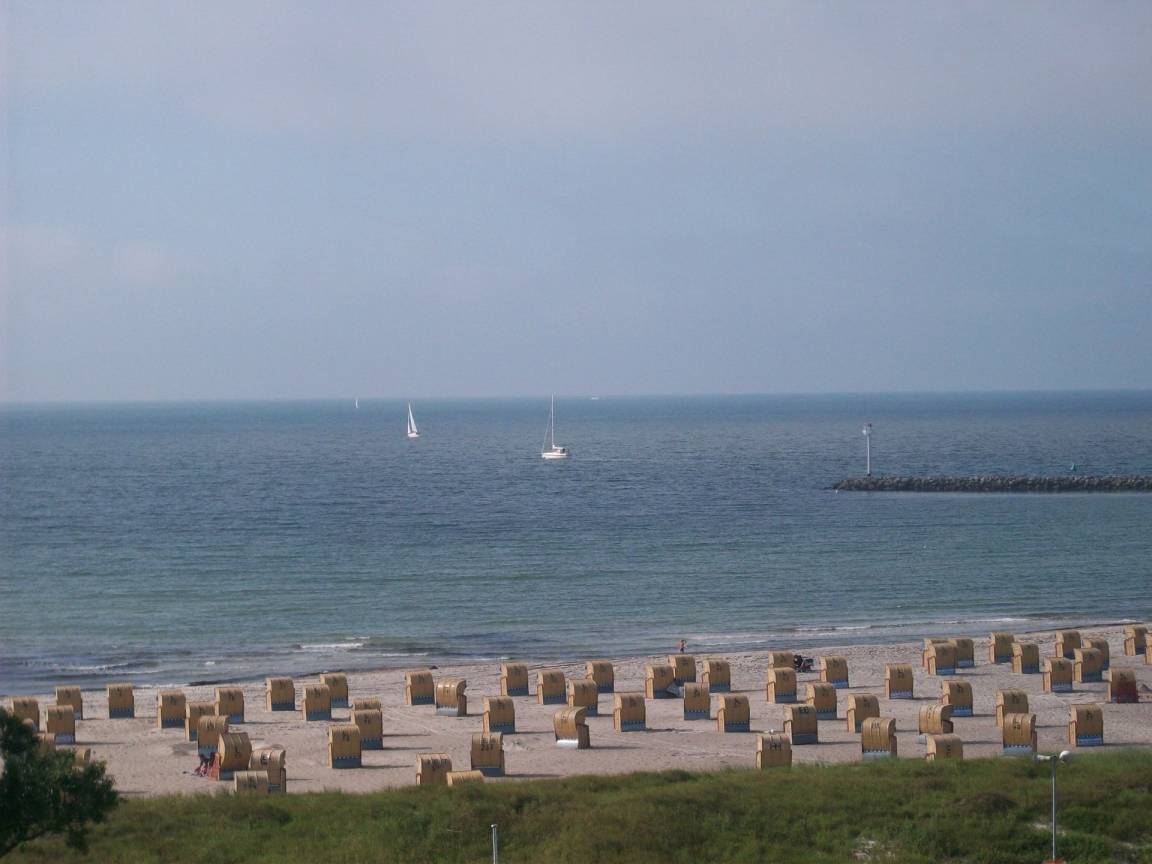 foto19