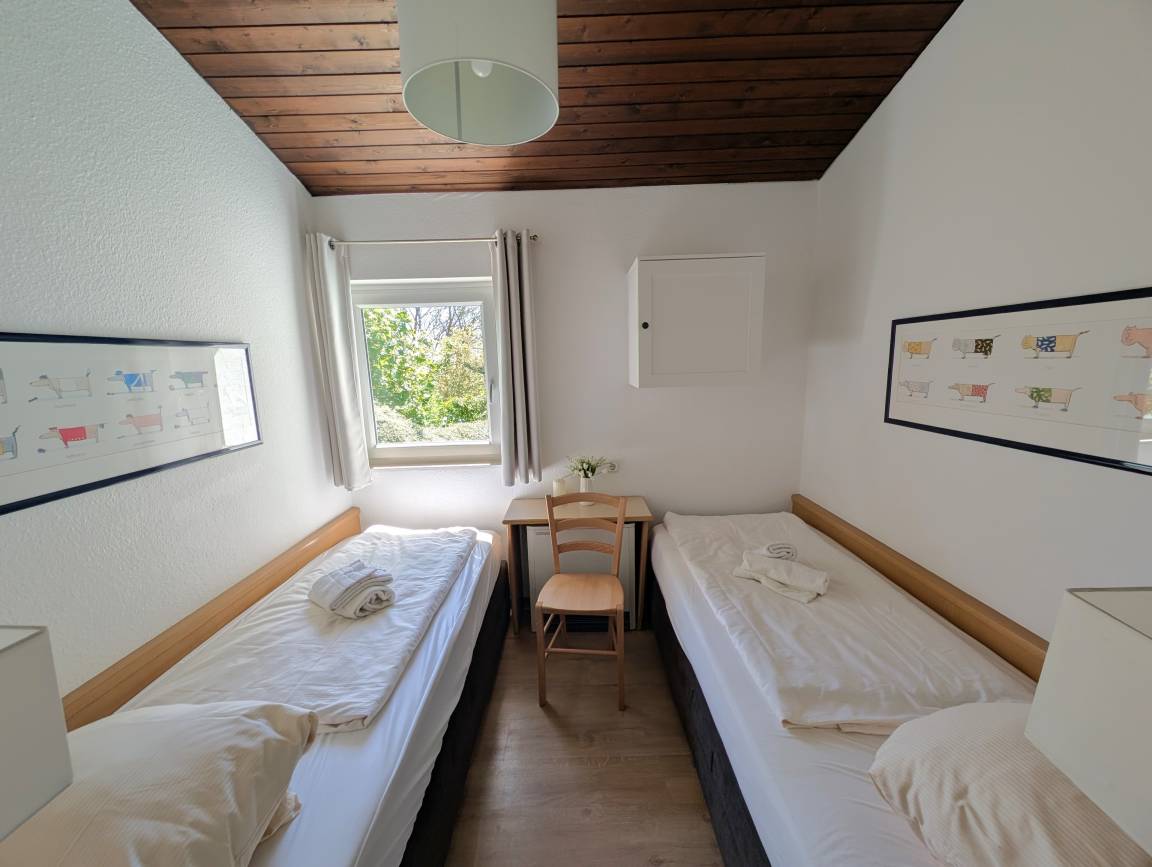 foto13