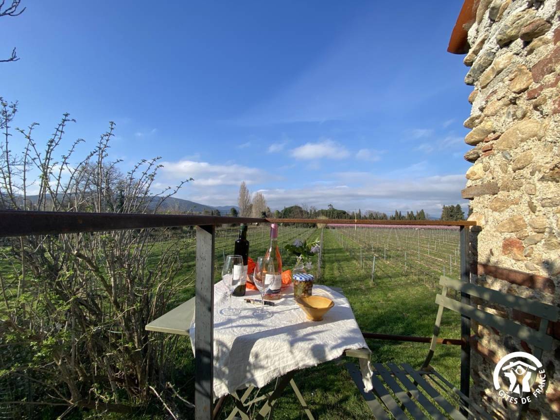 24 m&sup2; G&icirc;te 1 Schlafzimmer 2 G&auml;ste