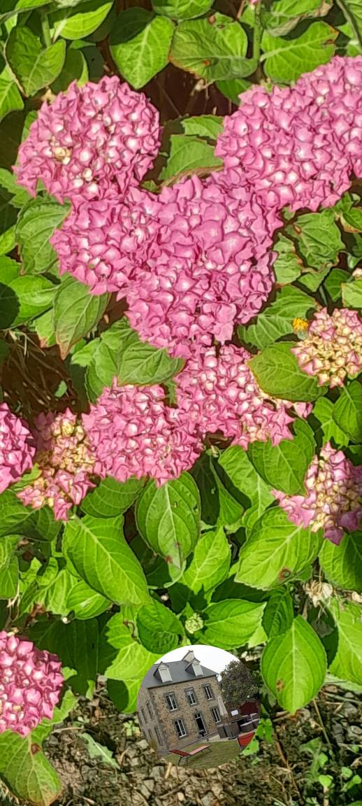 foto42