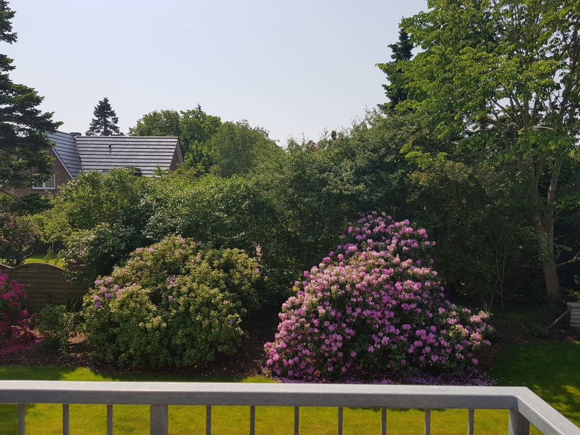 foto22