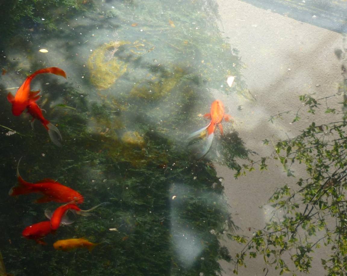 foto14