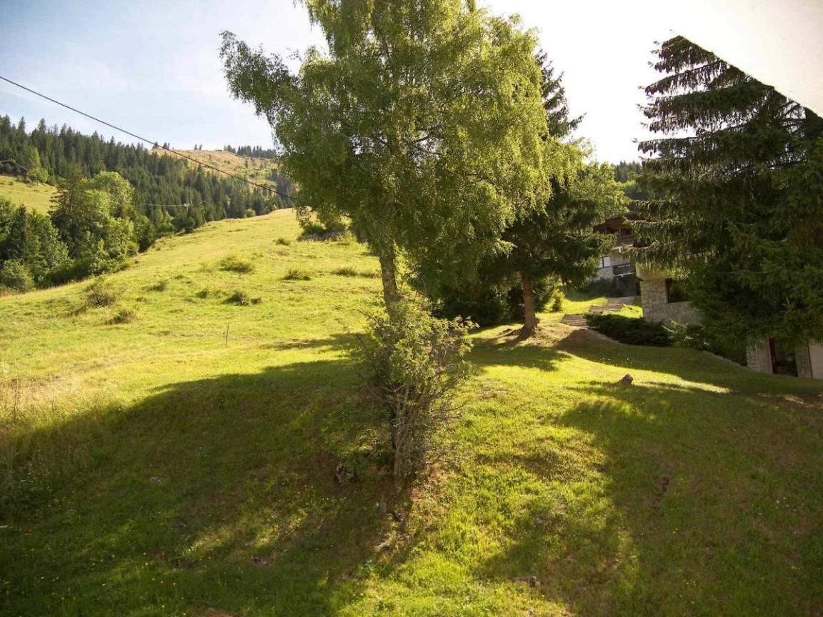 foto21