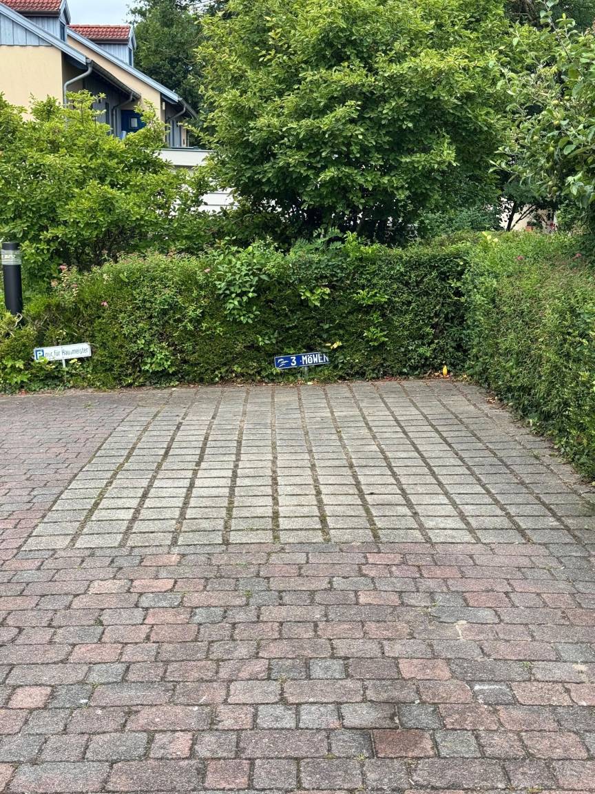 foto14
