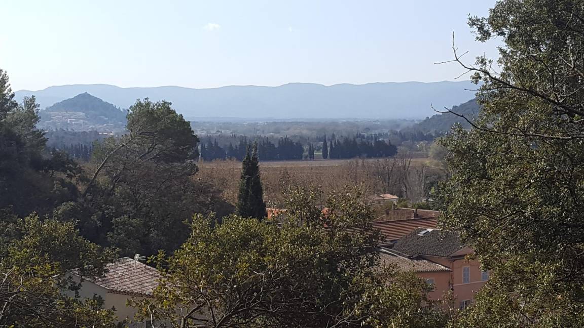 foto15