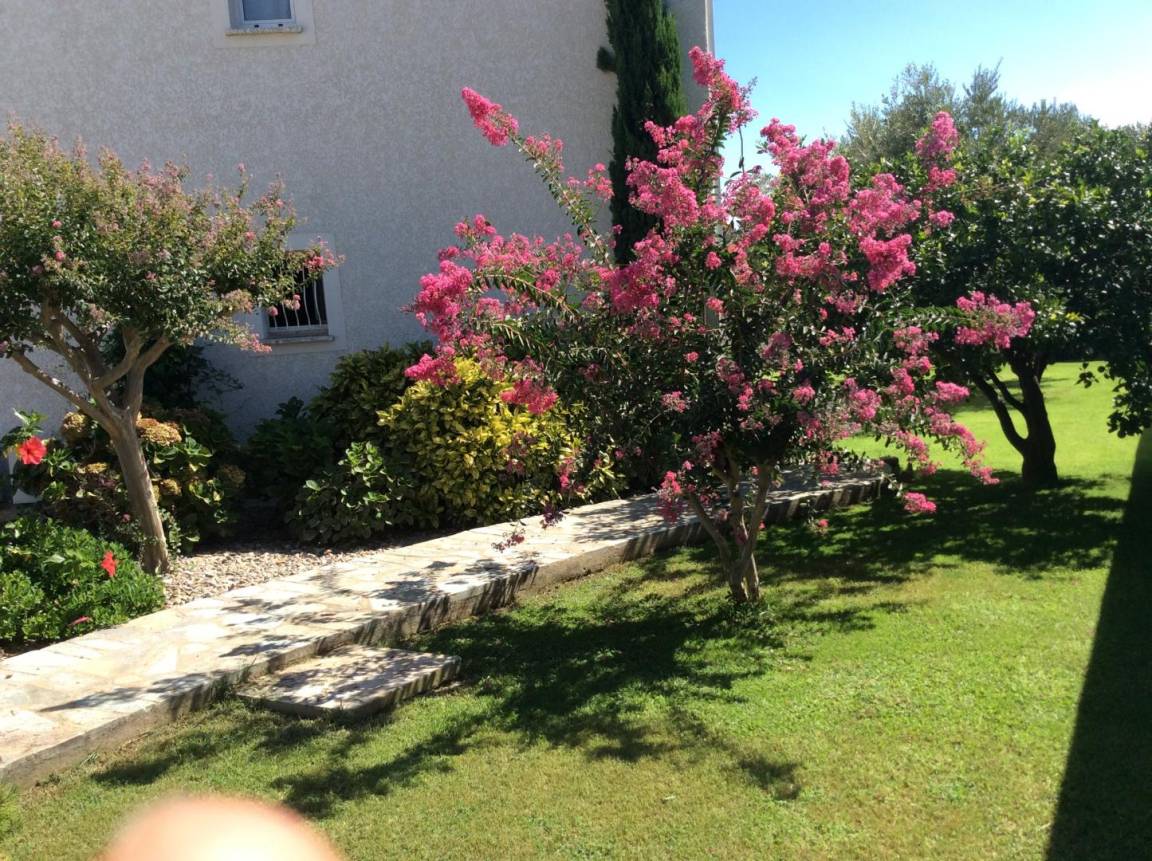 foto22