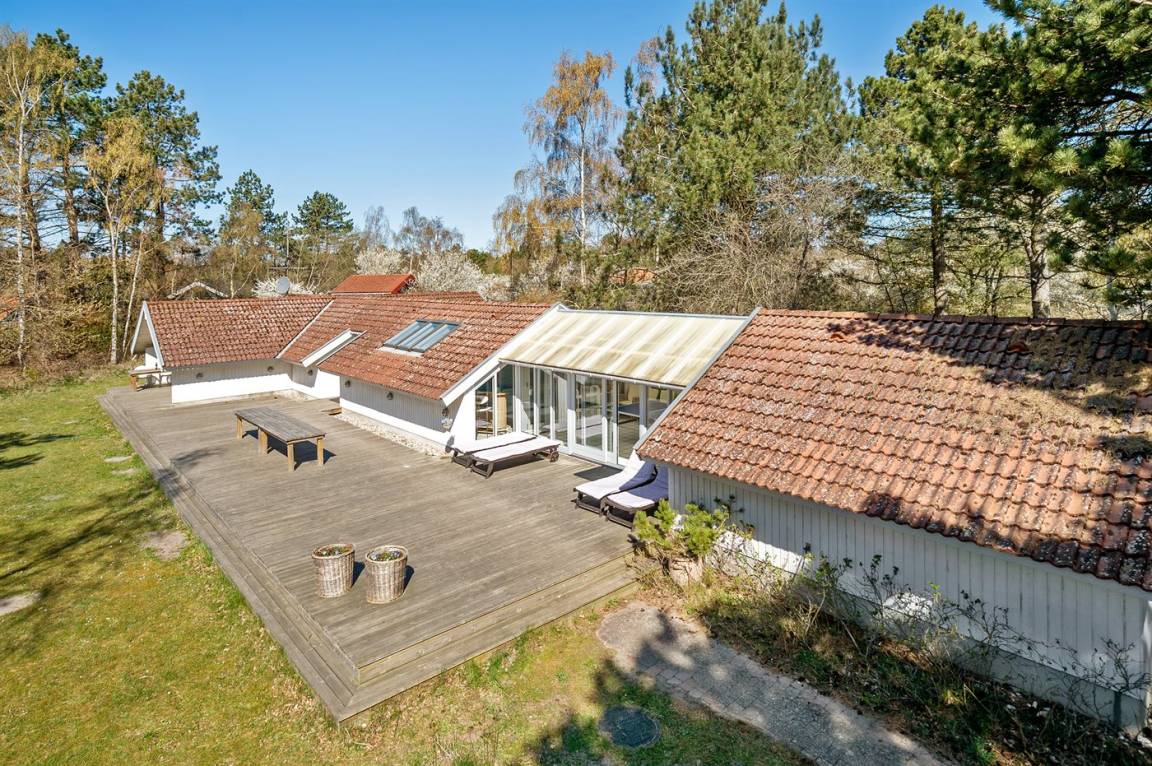 foto4