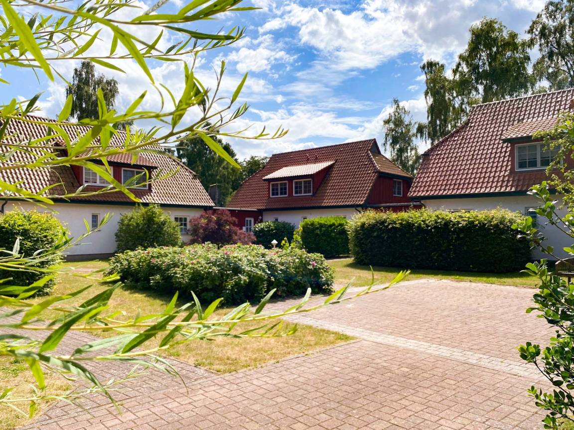 foto17