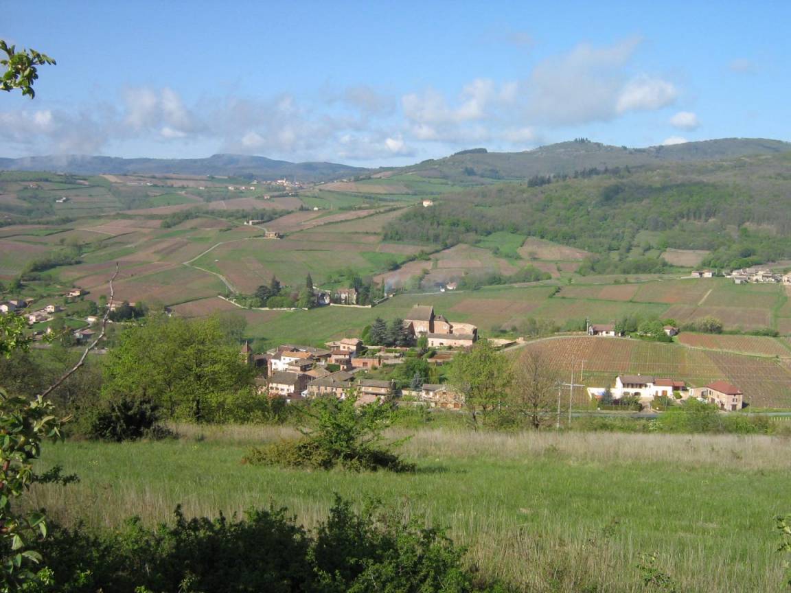 foto6