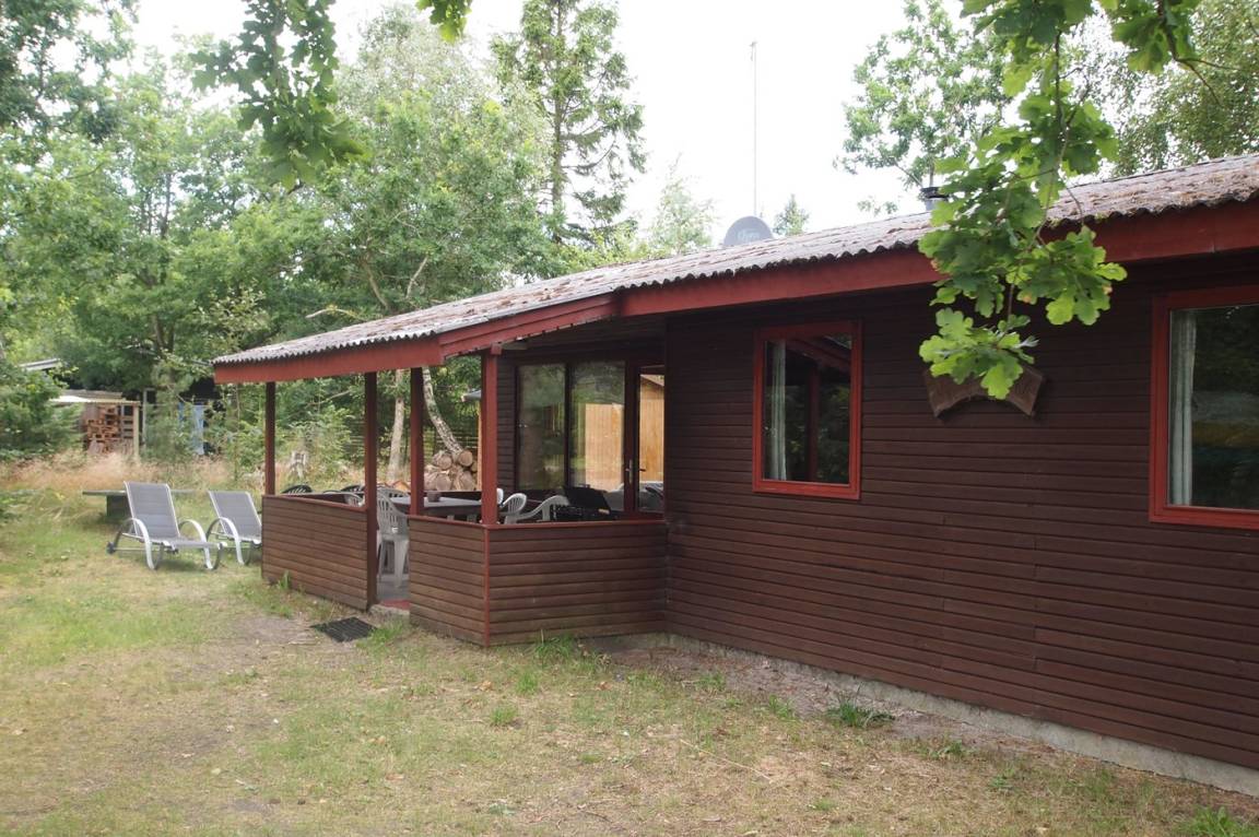 foto12