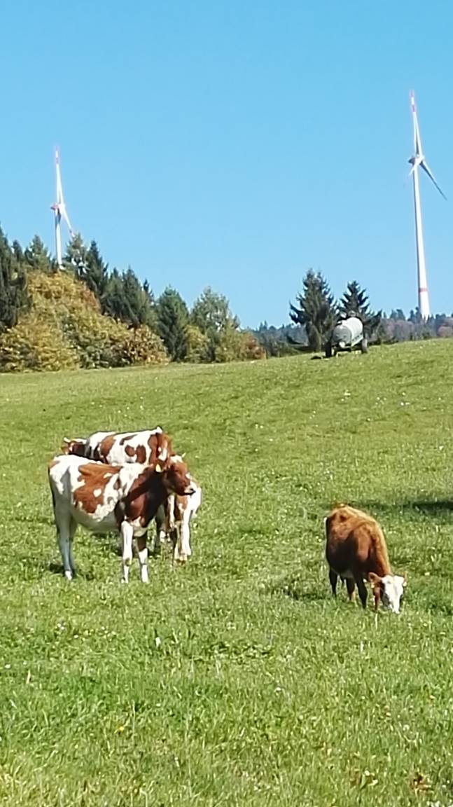 foto22