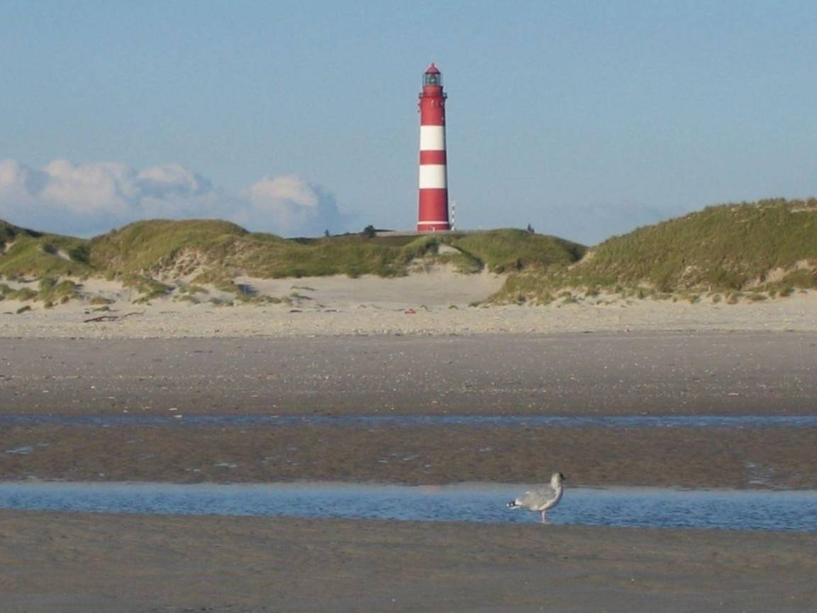 foto14