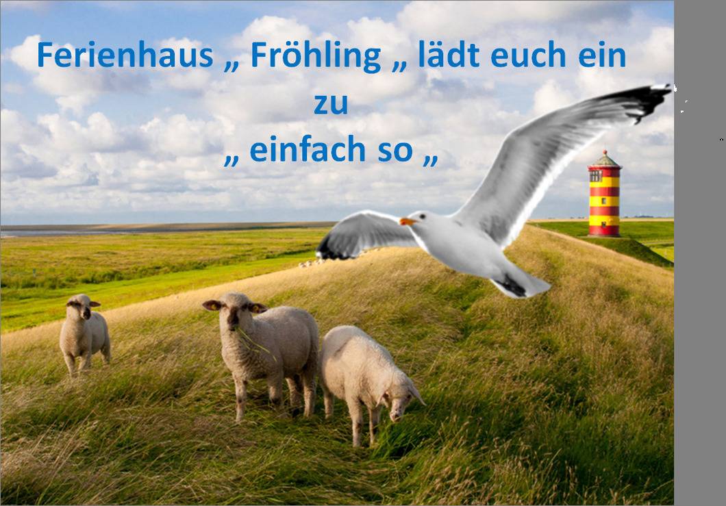 foto27