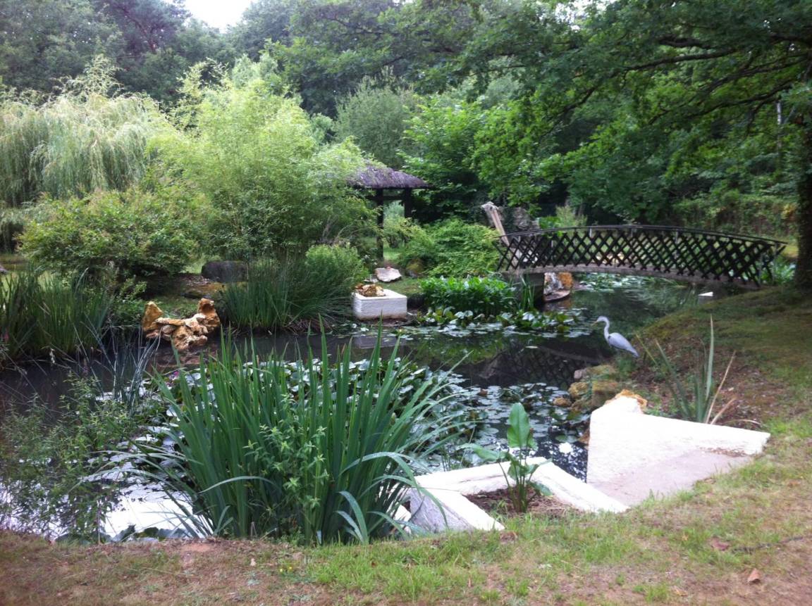 foto16