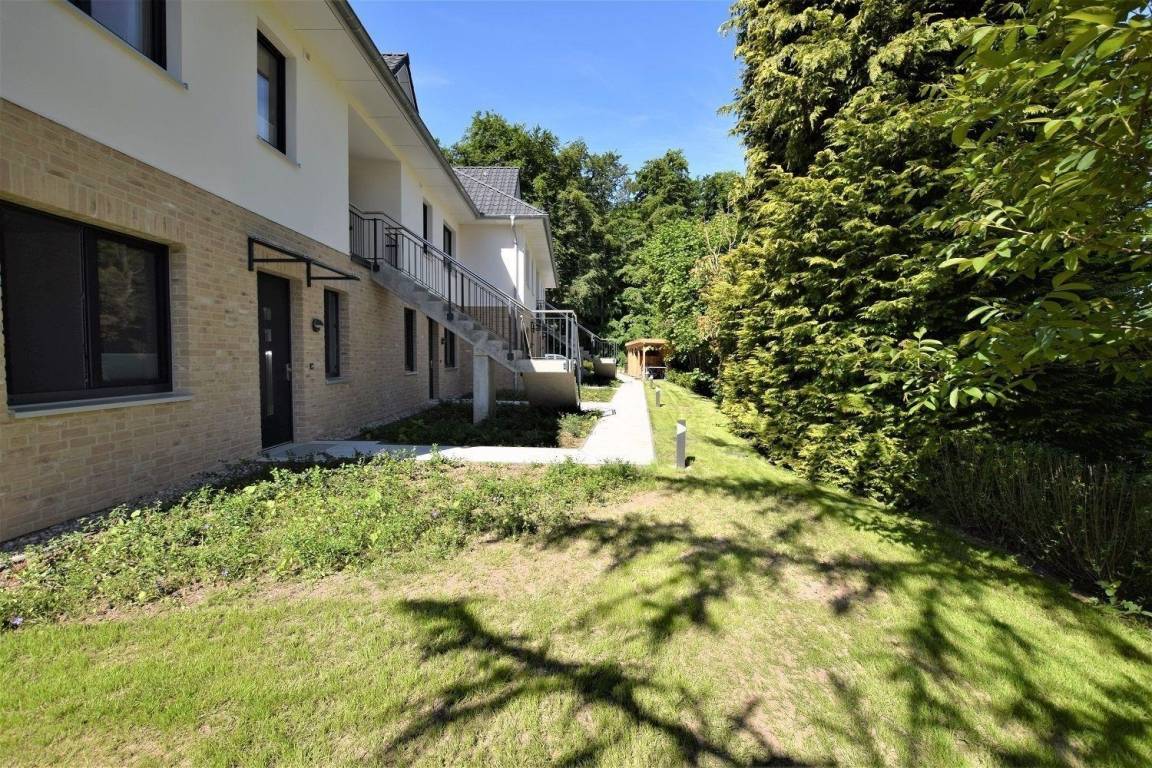 foto19
