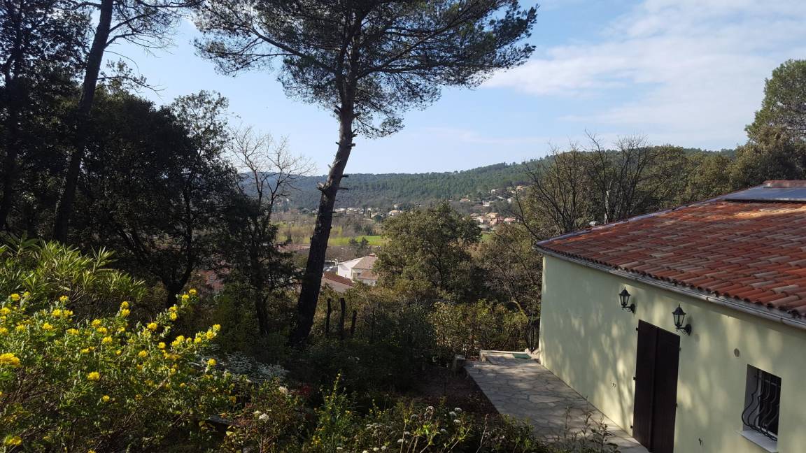 foto11