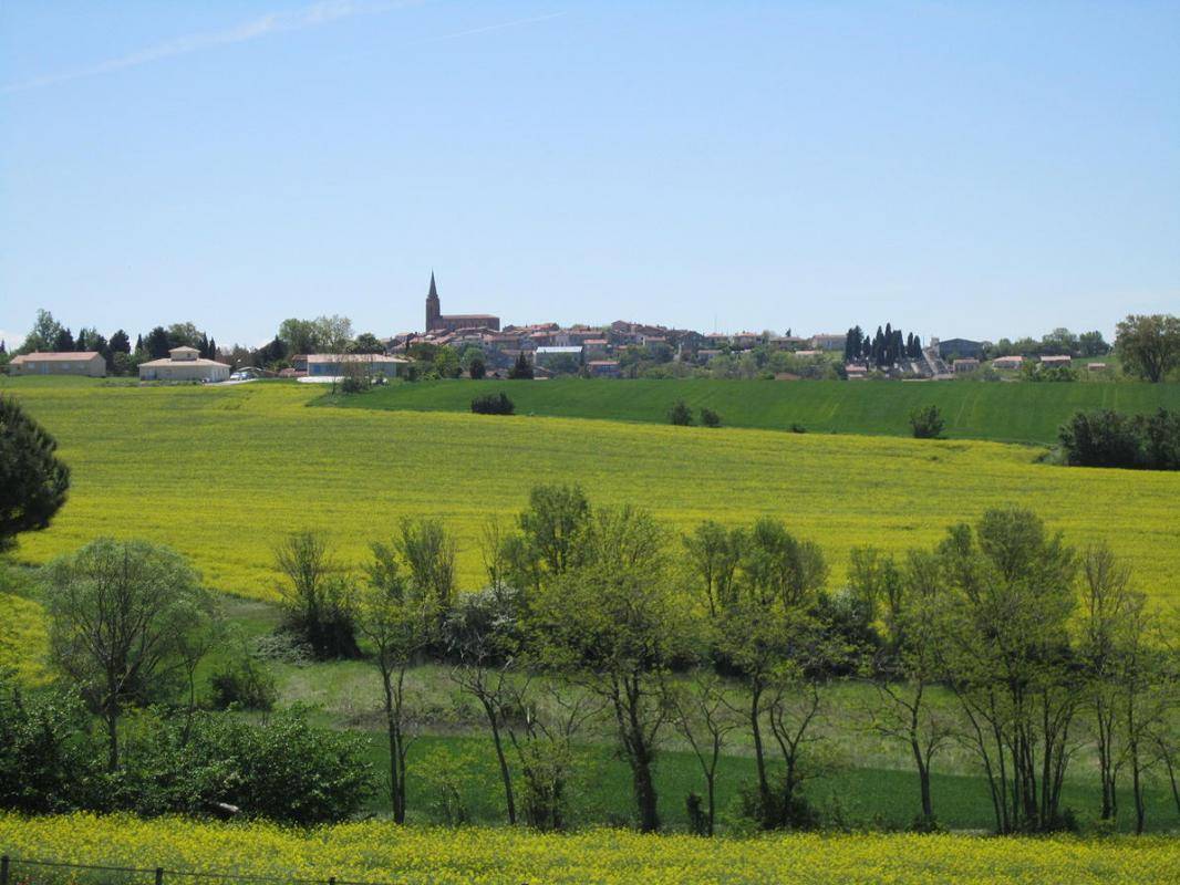 foto5