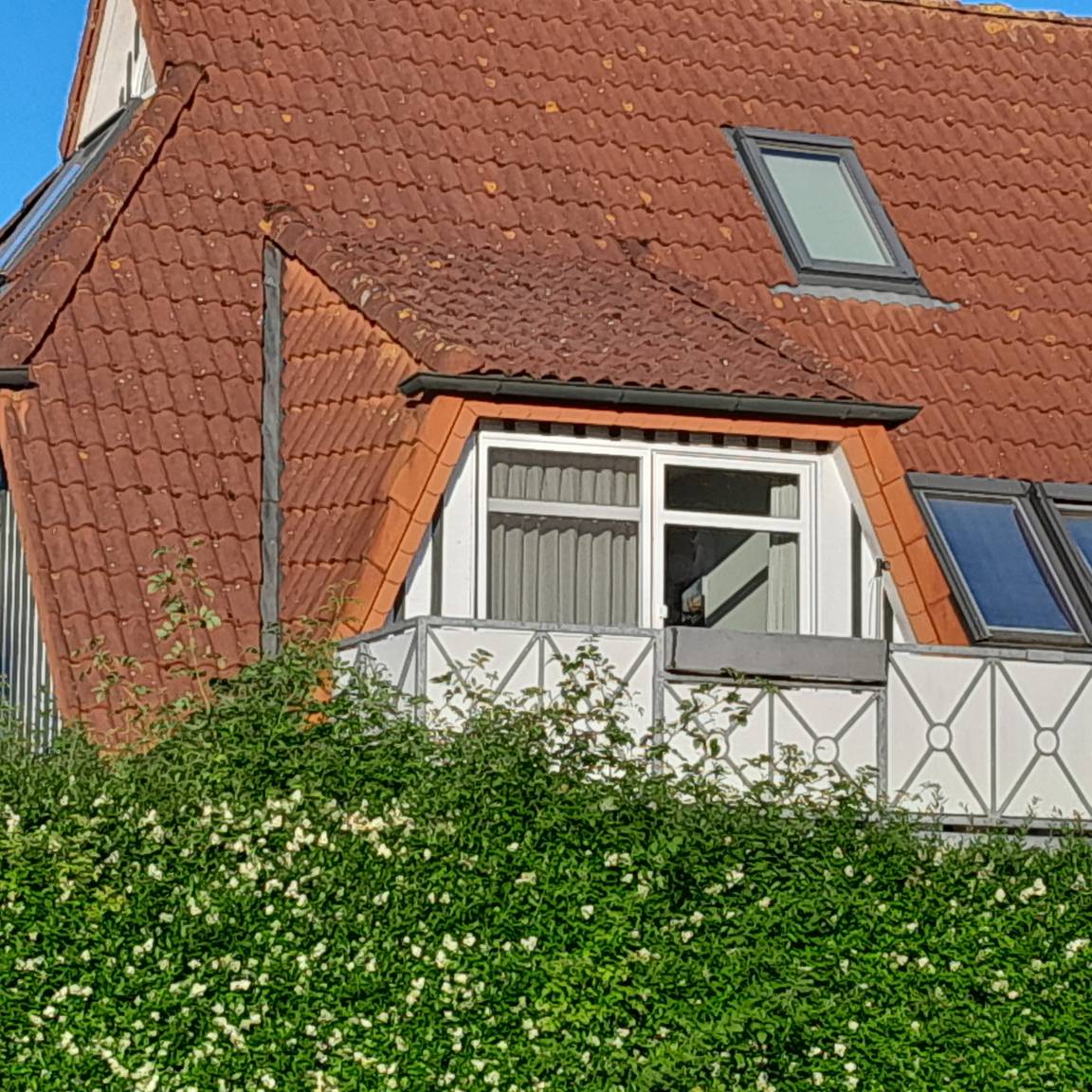 foto1