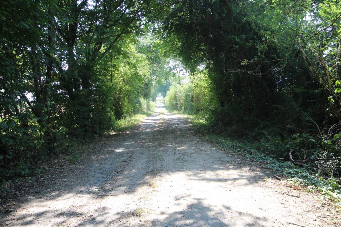 foto20