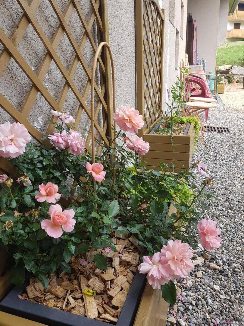 foto47