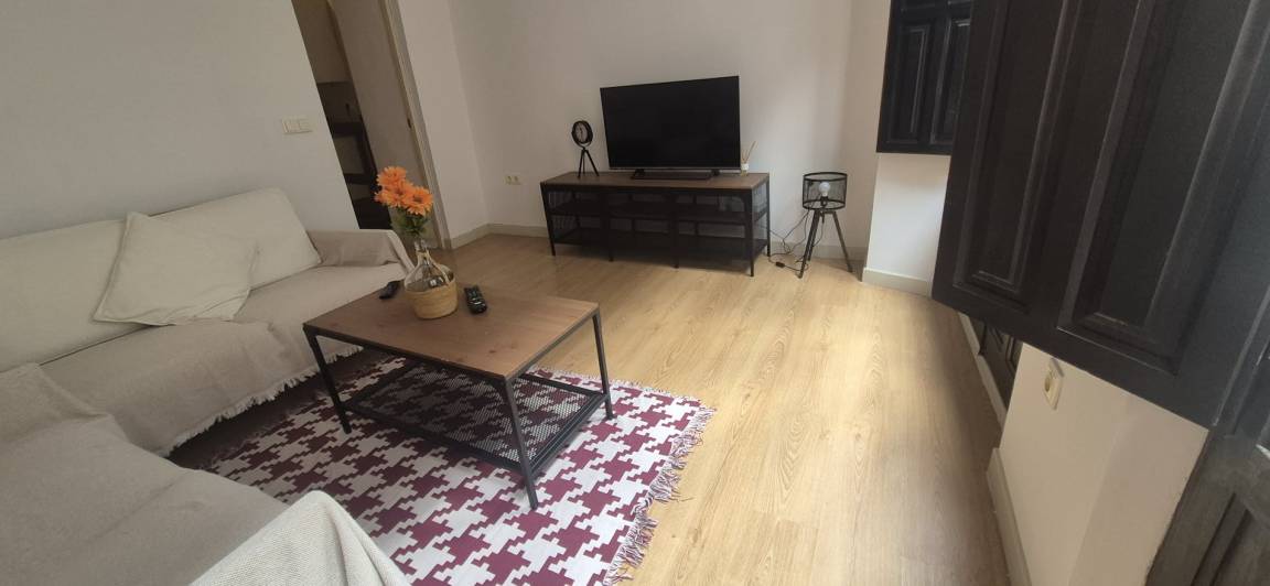 45 平方米 公寓 ∙ 1 Bedroom ∙ 1 Guest - 格拉納達