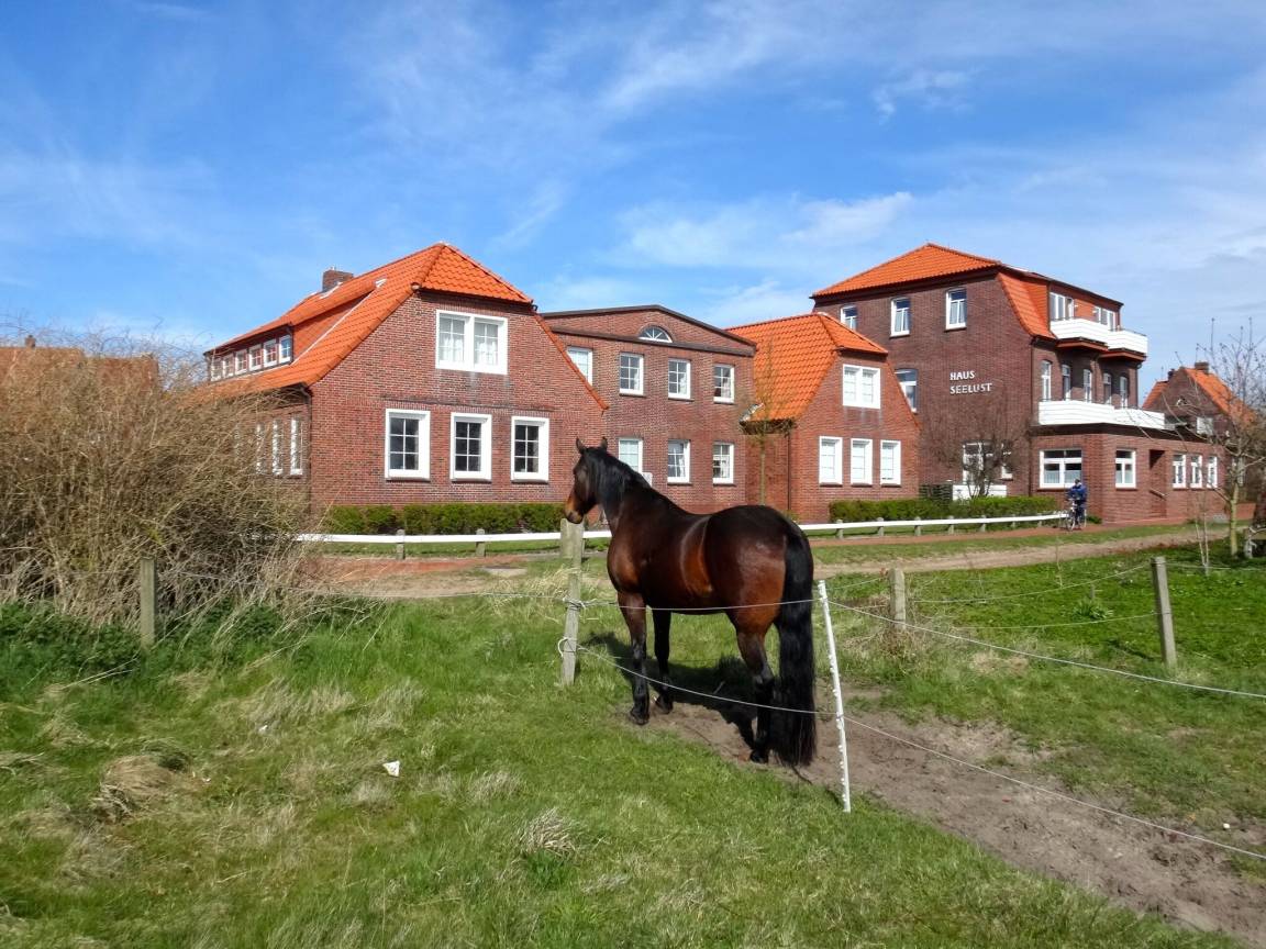 33 M² Appartement ∙ 1 Chambre ∙ 2 Personnes - Juist