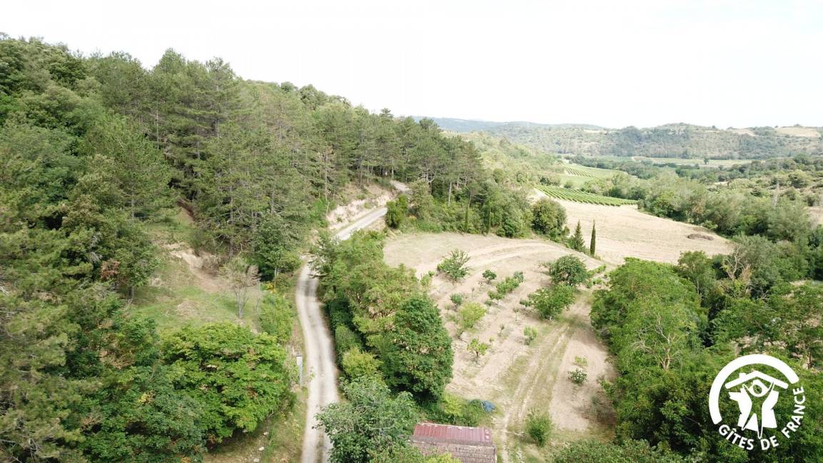 foto31