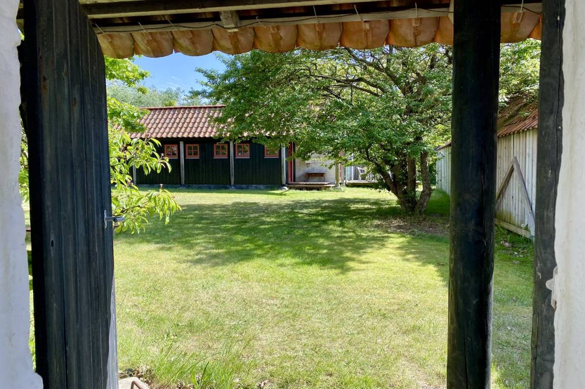 foto19