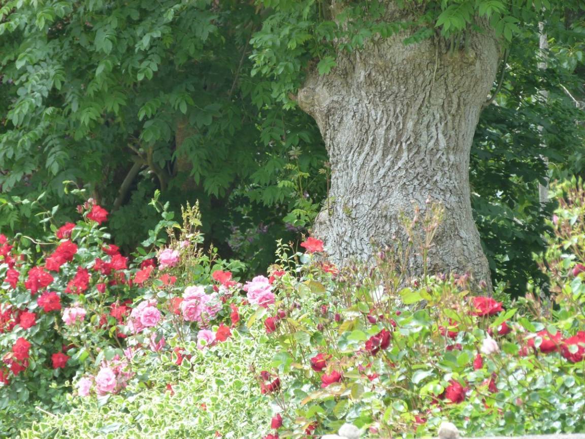 foto5
