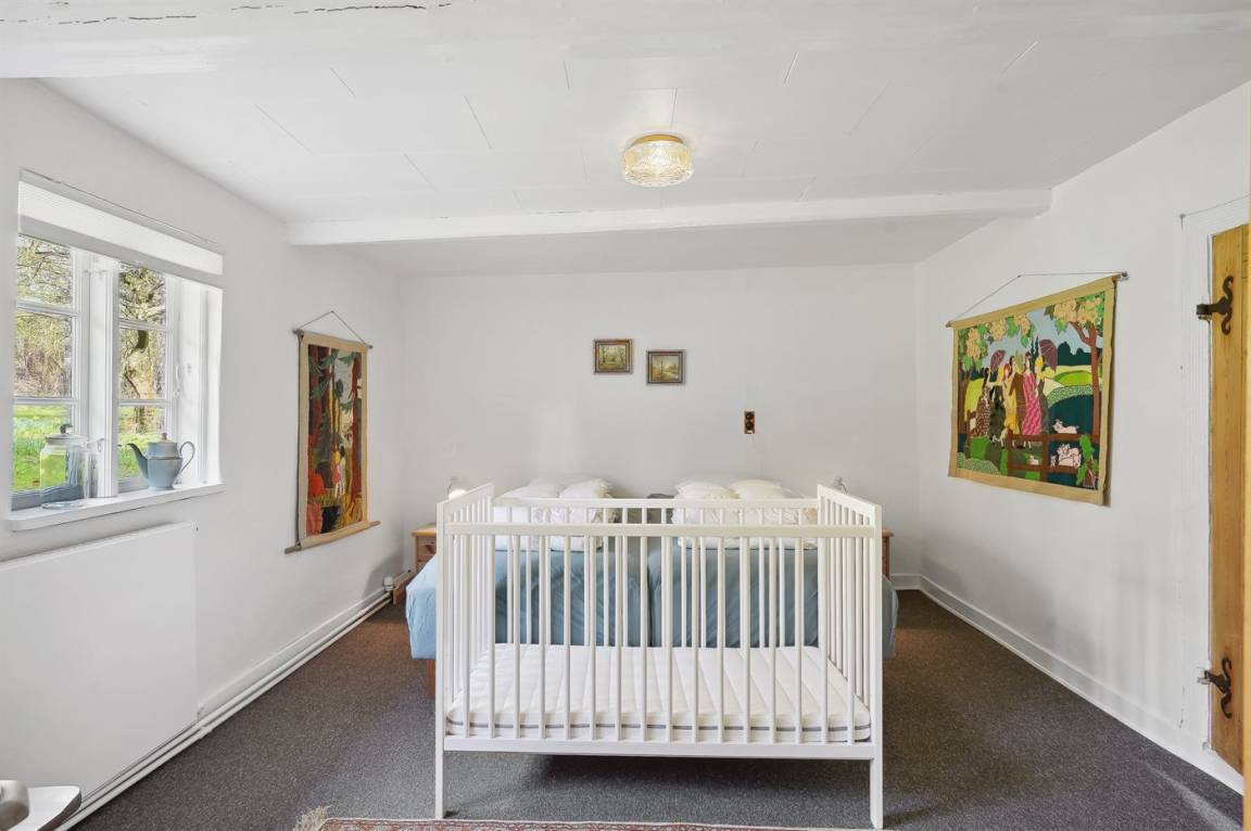 foto11